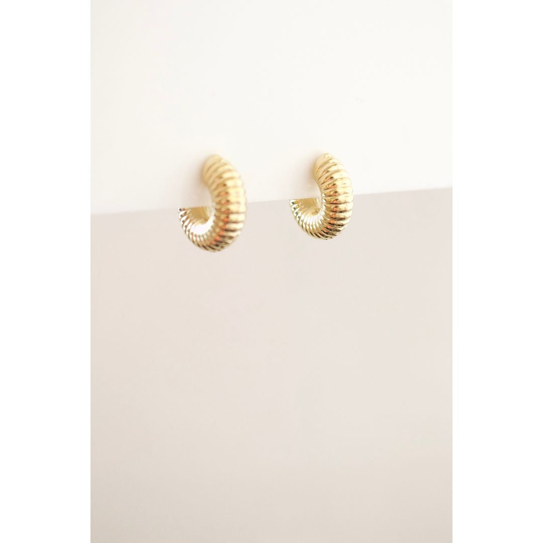 Aro Shinny Chunky Twisted Hoop