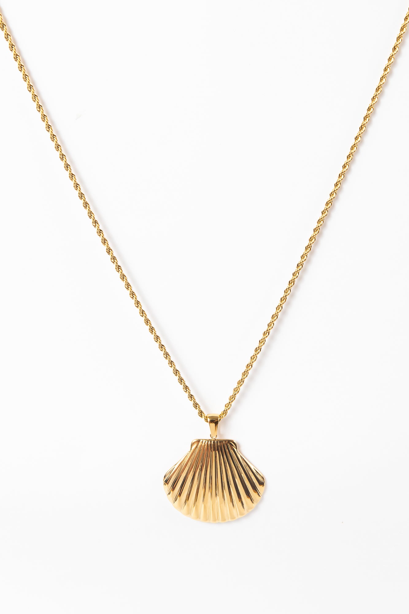 Collar Stainey Golden Shell