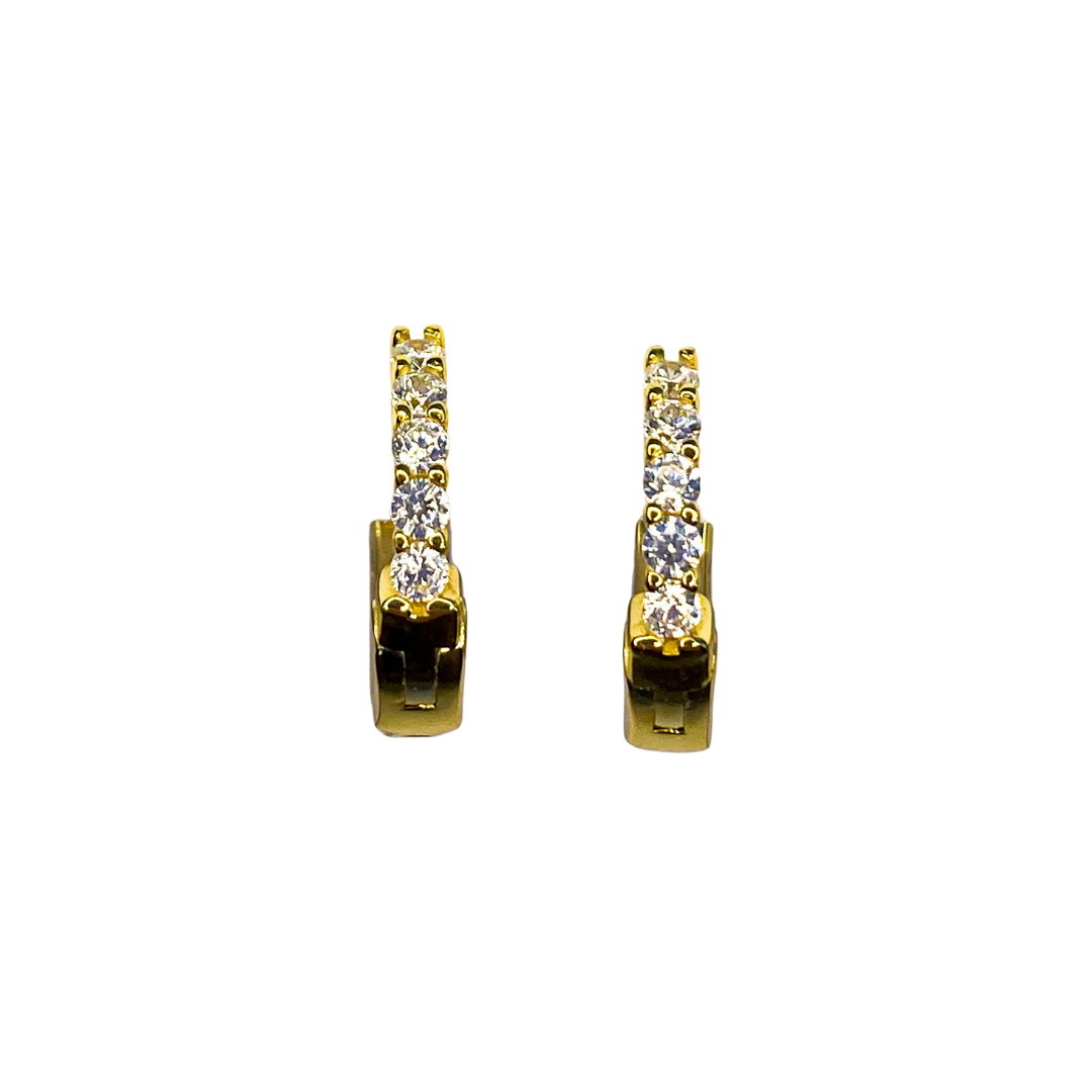 Aro Sasser Cz Hoop Gold