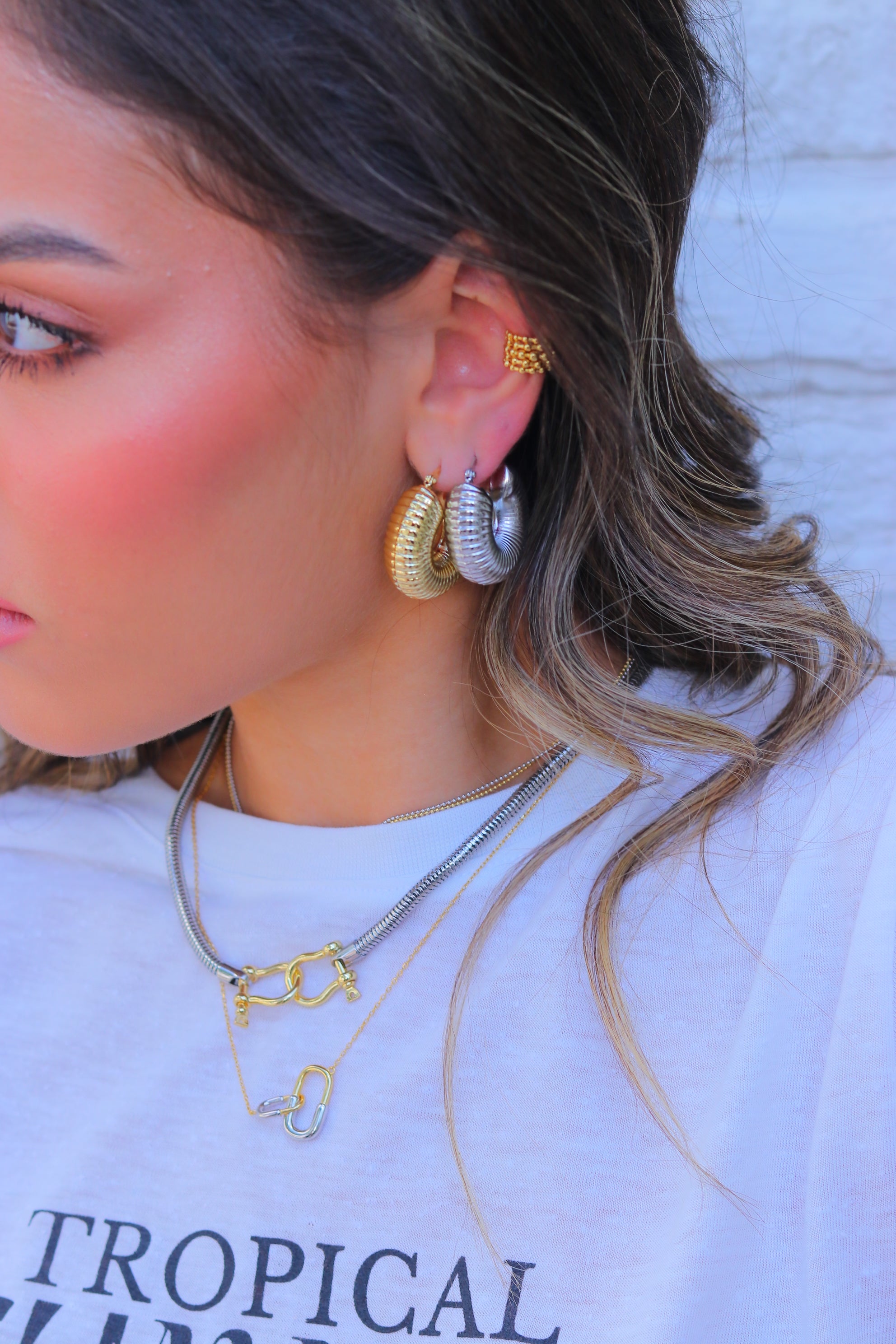 Collar Bicolor Double Link Necklace