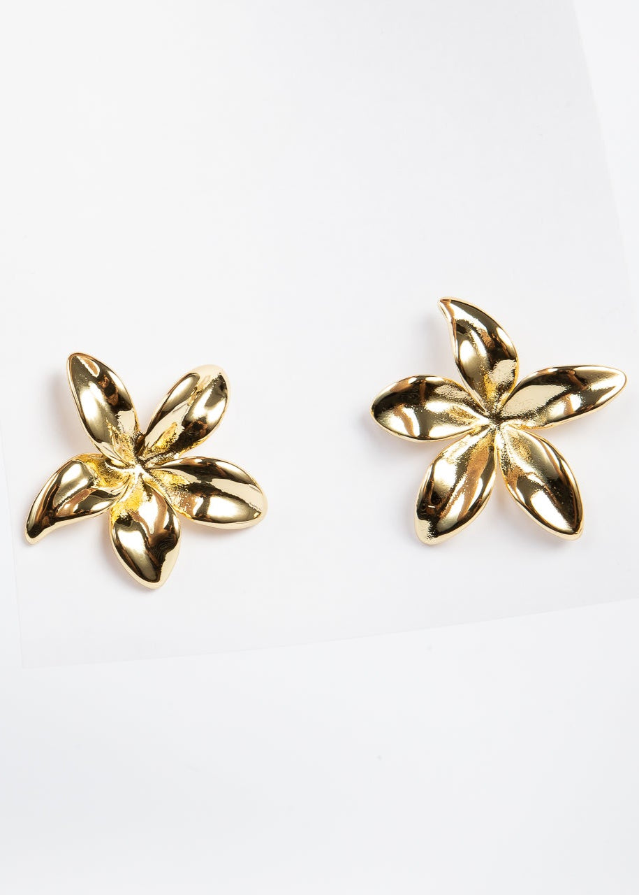 Aro Brassy 5 petal Flower Stud