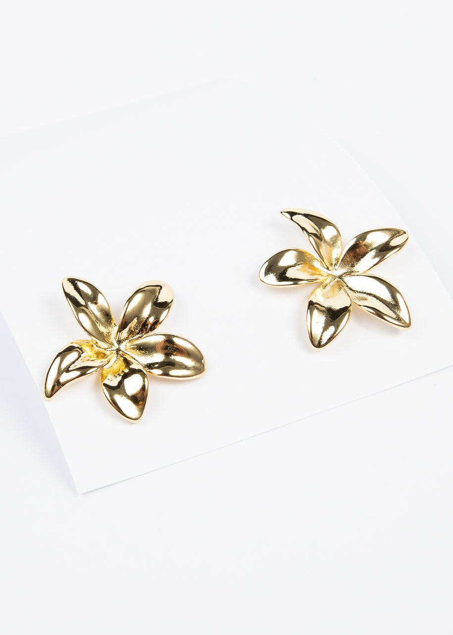 Aro Brassy 5 petal Flower Stud