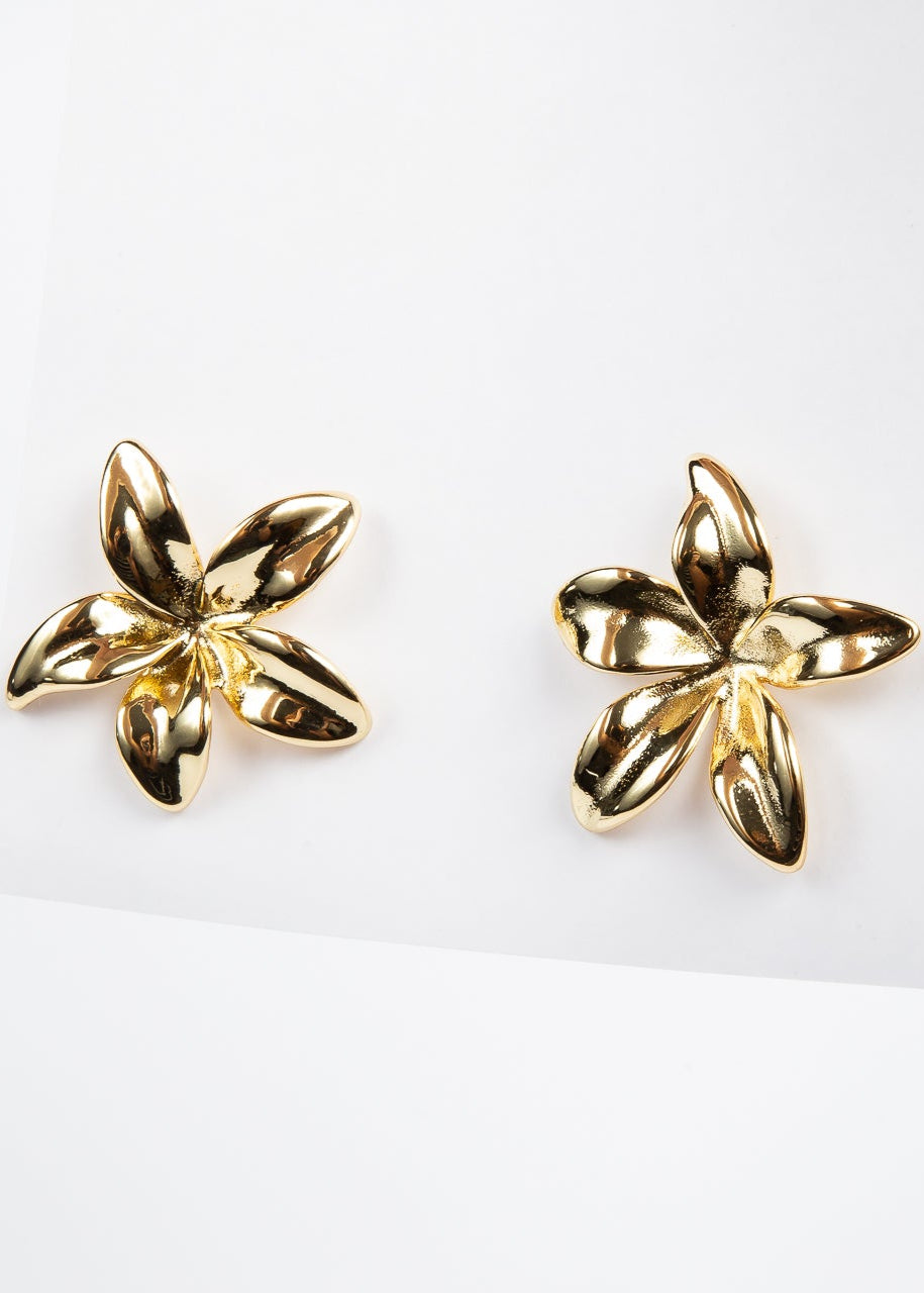 Aro Brassy 5 petal Flower Stud