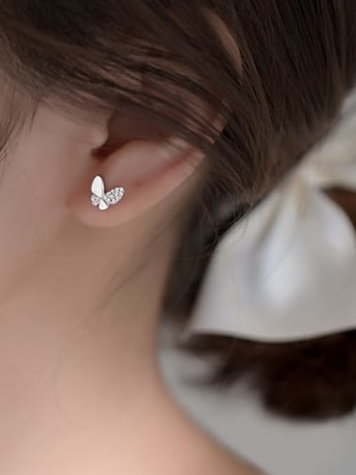 Aro Cica Butterfly