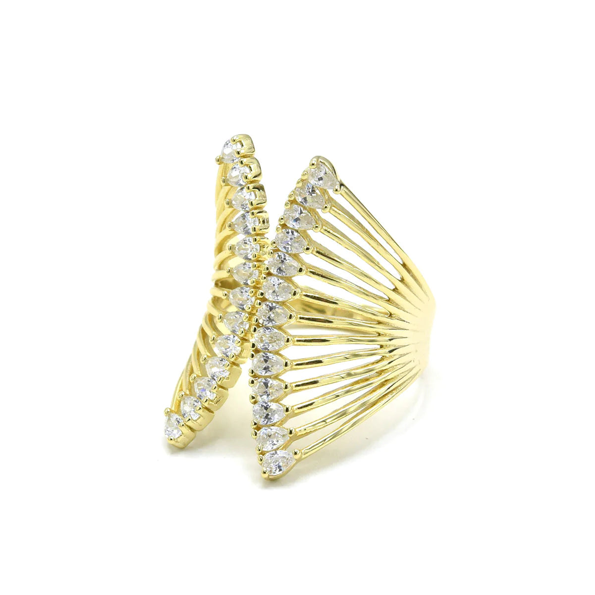 Anillo Gran Fan