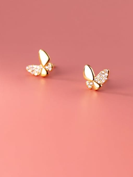 Aro Cica Butterfly